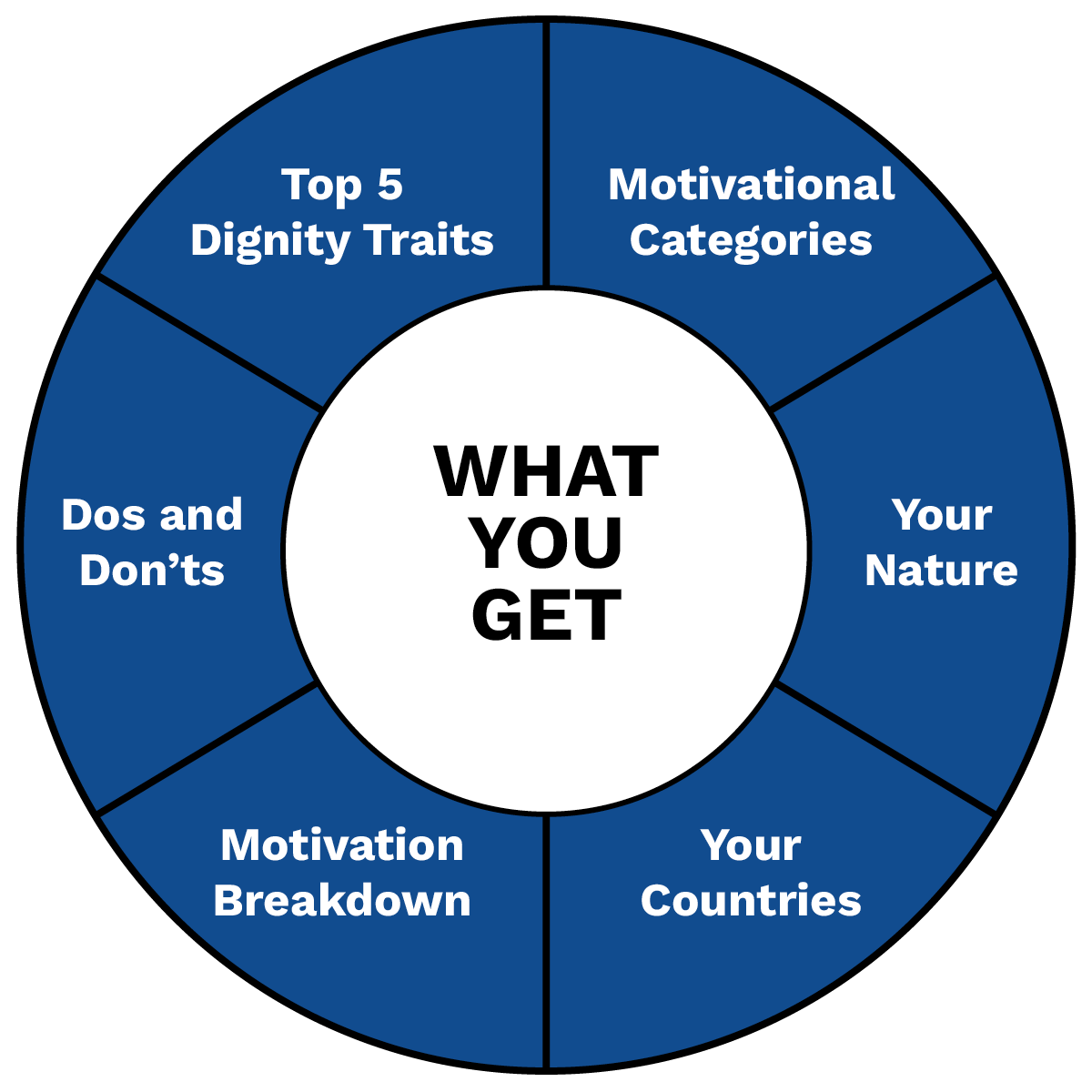 Chart of what is included in a Snapshot - Top 5 Dignity Traits, Motivational Categories, Motivation Breakdown, Dos and Don'ts, Your Countries, Your Nature